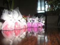 /album/galeria-de-fotos/imagem-178-jpg/